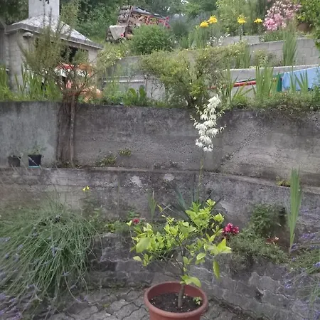 Vila Senka Villa Cazin
