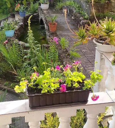 Vila Senka Villa Cazin